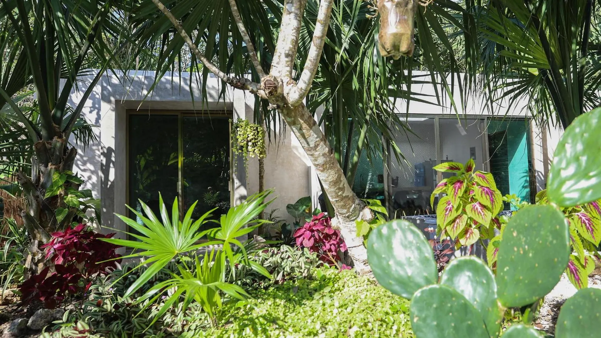 Beunavista Villas Buenavista